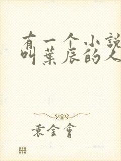 有一个小说主角叫叶辰的人