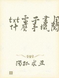 txt电子书用什么手机阅读器好