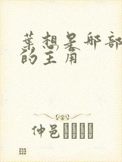 叶想是哪部小说的主角