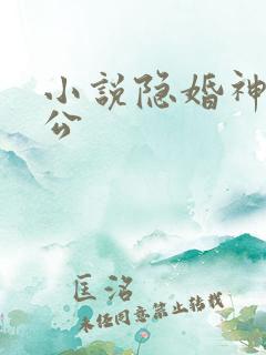 小说隐婚神秘老公