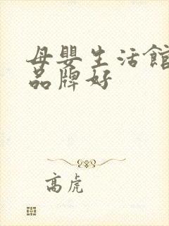 母婴生活馆什么品牌好 母婴生活馆什么品牌好