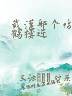 武汉哪个站离黄鹤楼近