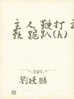 主人 鞭打 调教 跪趴(h)