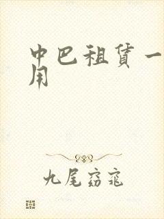 中巴租赁一天费用