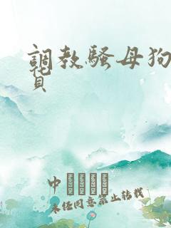调教骚母狗小骚货