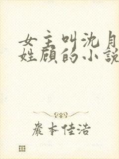 女主叫沈月男主姓顾的小说