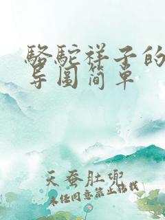 骆驼祥子的思维导图简单