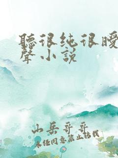 听很纯很暧昧有声小说