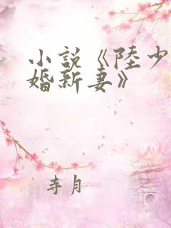小说《陆少的暖婚新妻》