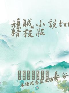 顽贼小说txt精校版