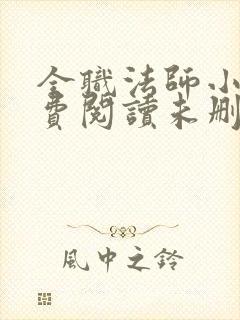 全职法师小说免费阅读未删减