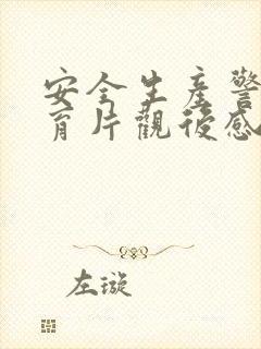 安全生产警示教育片观后感100字
