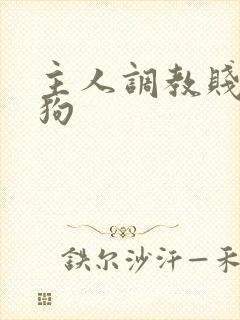 主人调教贱货母狗