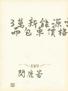 3万新能源电动面包车价格