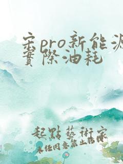 宋pro新能源实际油耗