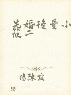 先婚后爱小说梦筱二
