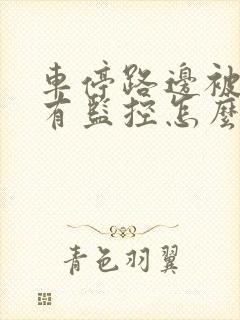 车停路边被撞没有监控怎么办