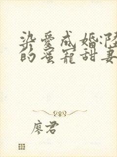 染爱成婚:陆少的蜜宠甜妻