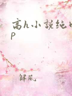 高h小说纯肉np