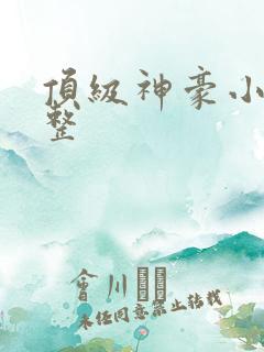 顶级神豪小说完整