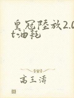 皇冠陆放2.0t油耗