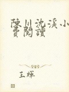 陈川沈溪小说免费阅读