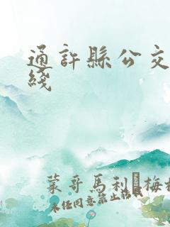 通许县公交车路线