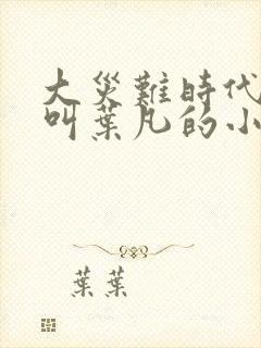 大灾难时代主角叫叶凡的小说
