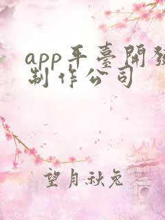 app平台开发制作公司