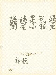 梅姨是我妈妈的闺蜜小说免费阅读