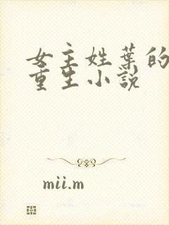 女主姓叶的末世重生小说