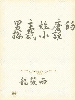 男主姓唐的霸道总裁小说
