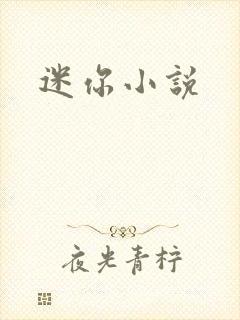 迷你小说