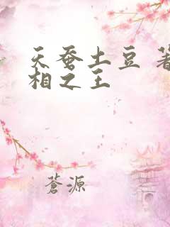 天蚕土豆 著万相之王