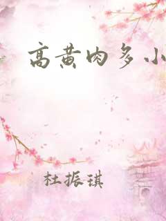 高黄肉多小说
