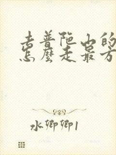 去普陀山的路线怎么走最方便