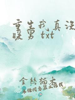 重生我真没想当暖男 txt