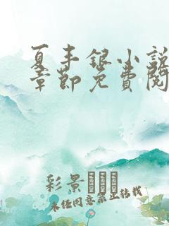 夏丰银小说最新章节免费阅读
