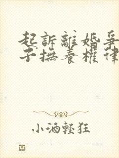 起诉离婚争取孩子抚养权律师费
