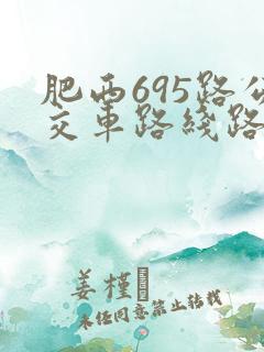 肥西695路公交车路线路线和时间表