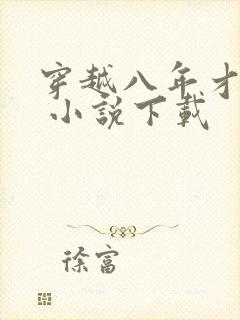 穿越八年才出道 小说下载