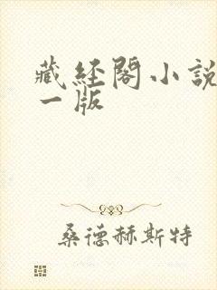 藏经阁小说网第一版
