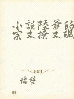 小说陆爷的小祖宗又撩又飒全文阅读 小说陆爷的小祖宗又撩又飒全文阅读