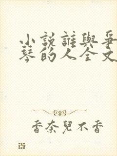 小说谁与争锋抚琴的人全文阅读免费