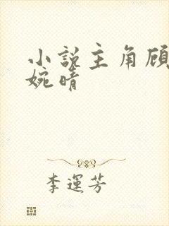 小说主角顾安沐婉晴