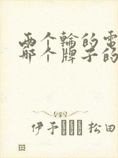 两个轮的电动车哪个牌子的好
