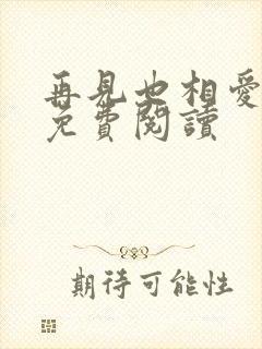 再见也相爱小说免费阅读