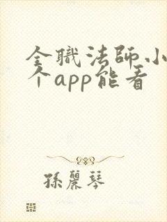 全职法师小说哪个app能看