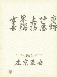 世界上什么车最长脑筋急转弯