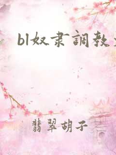 bl奴隶调教文